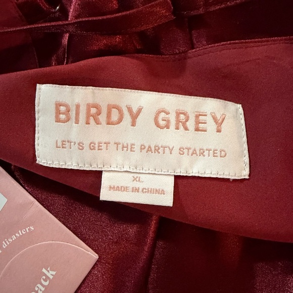 NWT Birdy Grey Lisa Long Satin Shiny Dress - Cabernet - Picture 8 of 12
